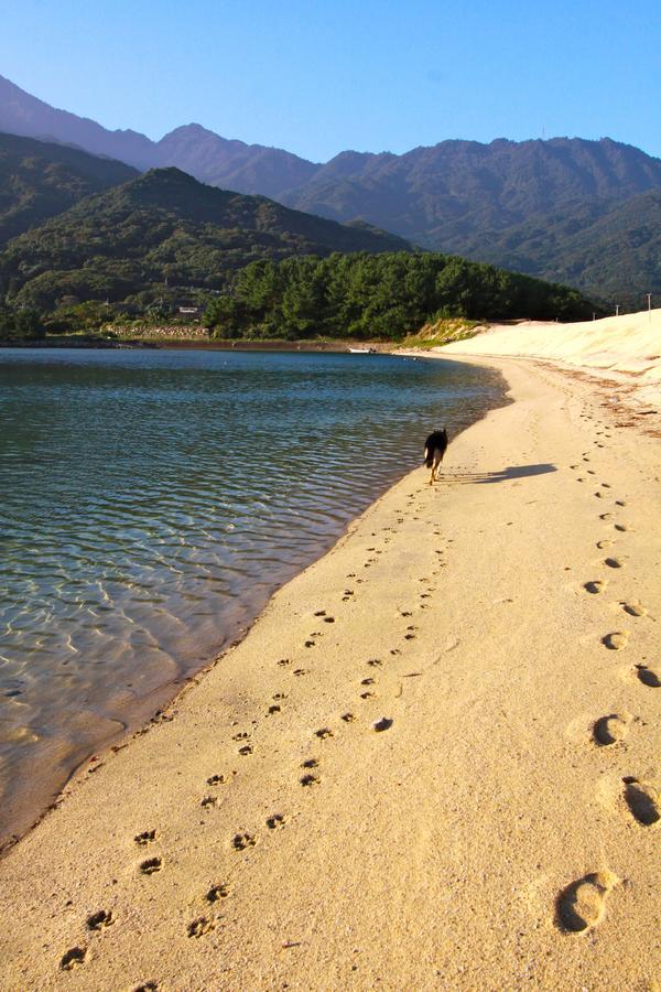 Suishodama Hostel Yakushima  Esterno foto